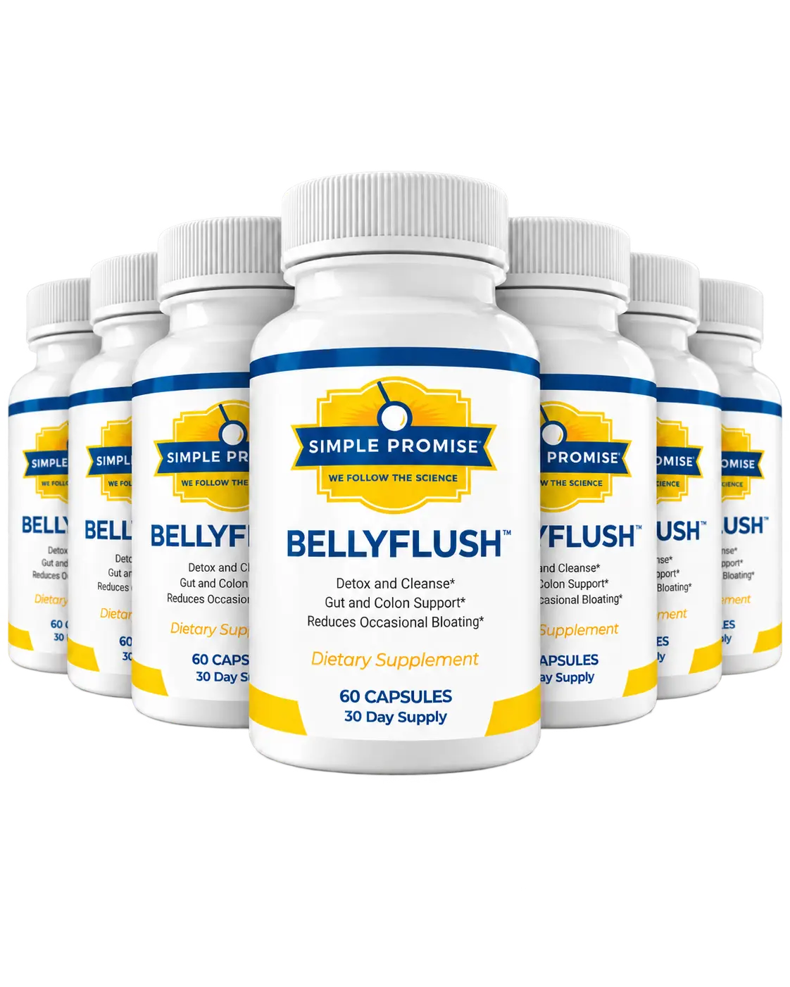 BellyFlush six bottle package